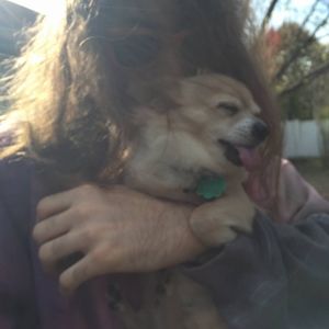 Meet your Posher, Jackson